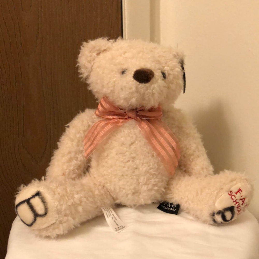 Cute Teddy Bear from FAO Swartz
